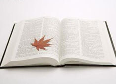 竞争激烈球队抢夺联盟榜首，积分榜排名紧张