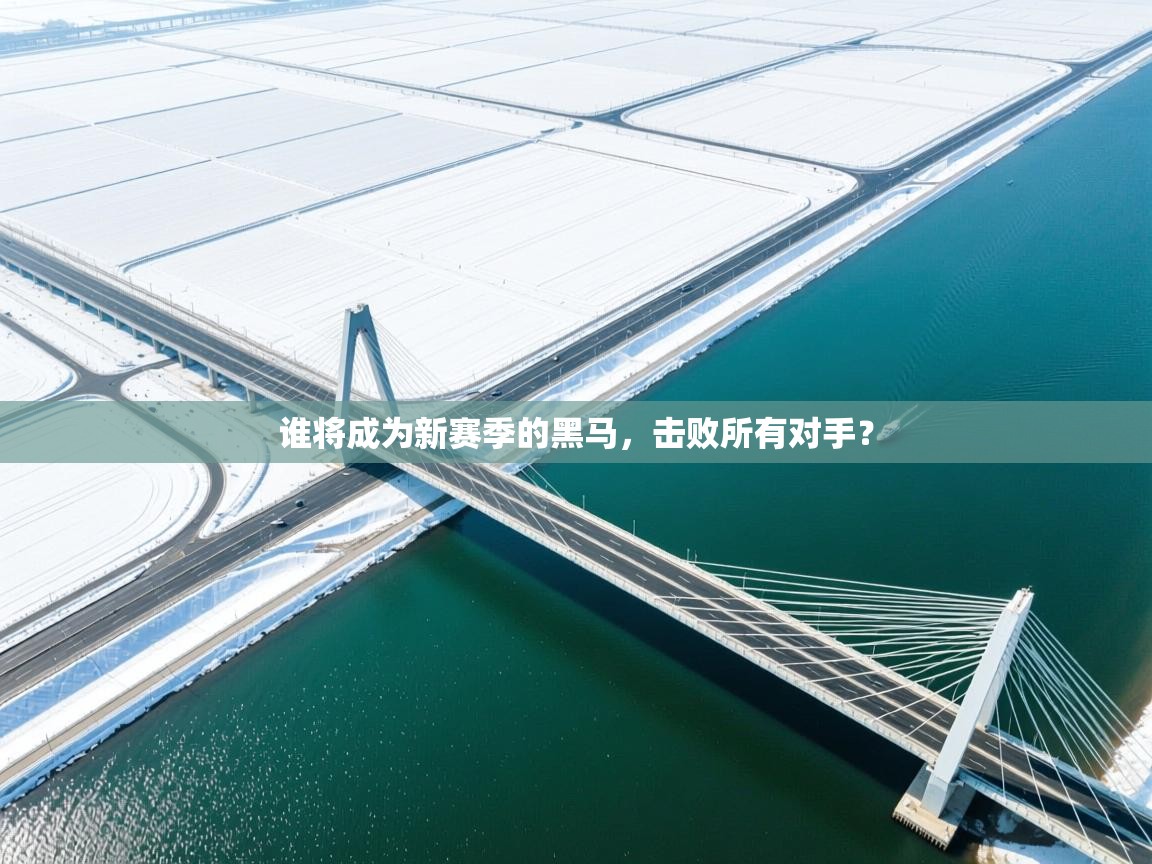 谁将成为新赛季的黑马，击败所有对手？  第1张