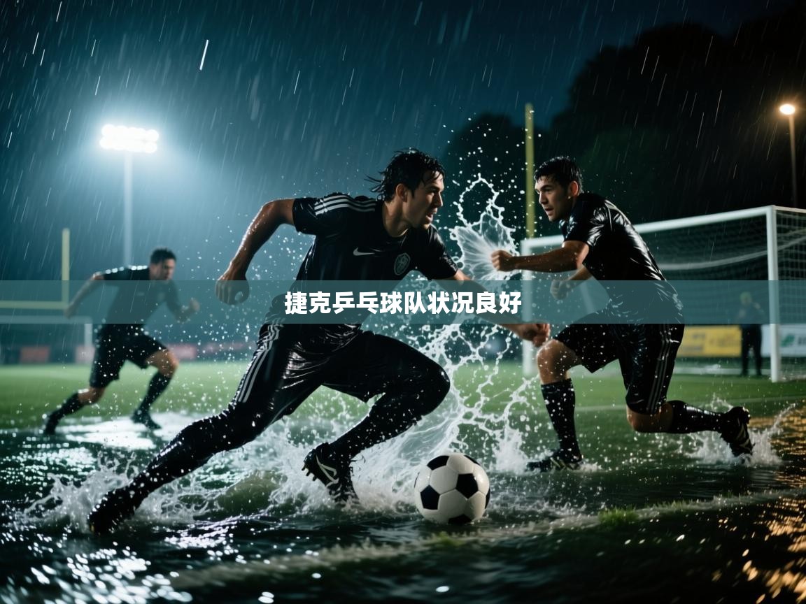 捷克乒乓球队状况良好