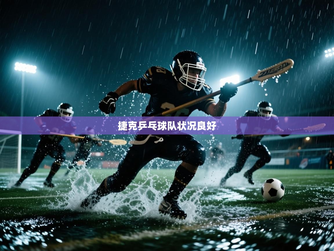 捷克乒乓球队状况良好 第2张