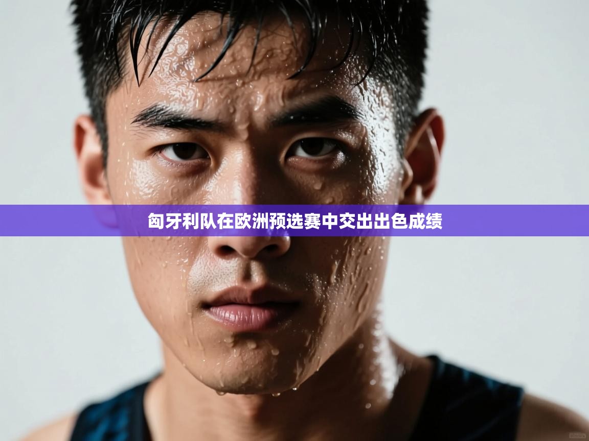 匈牙利队在欧洲预选赛中交出出色成绩  第2张