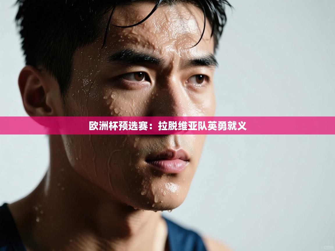 欧洲杯预选赛：拉脱维亚队英勇就义  第2张